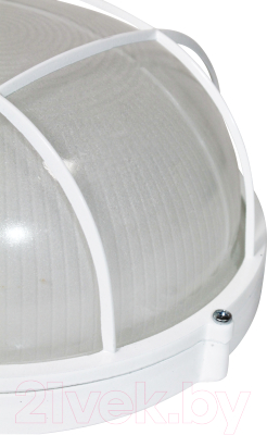 Светильник ЖКХ Элетех Банник 1102 НПП 03-100-010 IP65 / 1005501073