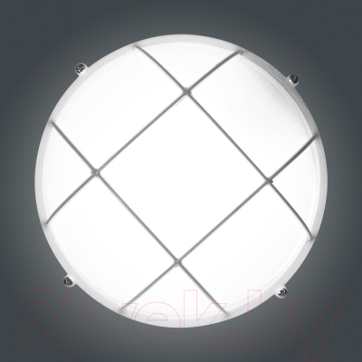 Светильник ЖКХ Элетех Банник 1102 НПП 03-100-010 IP65 / 1005501073