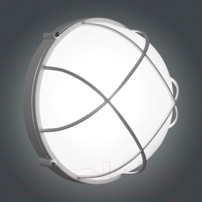 Светильник ЖКХ Элетех Банник 1102 НПП 03-100-010 IP65 / 1005501073