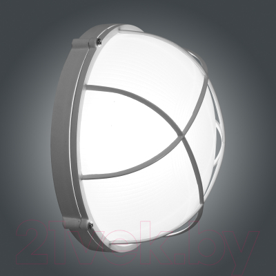 Светильник ЖКХ Элетех Банник 1102 НПП 03-100-010 IP65 / 1005501073