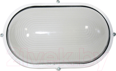 Светильник ЖКХ Элетех Банник 1201 НПП 03-100-017 IP65 / 1005501074 - фото