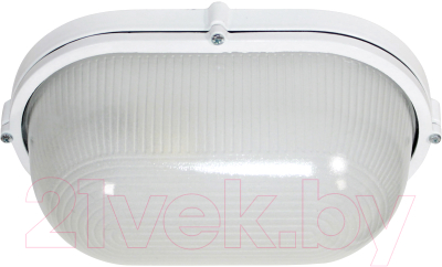 Светильник ЖКХ Элетех Банник 1201 НПП 03-100-017 IP65 / 1005501074
