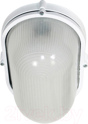 Светильник ЖКХ Элетех Банник 1201 НПП 03-100-017 IP65 / 1005501074