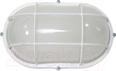 Светильник ЖКХ Элетех Банник 1202 НПП 03-100-018 IP65 / 1005501075 - фото