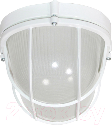 Светильник ЖКХ Элетех Банник 1202 НПП 03-100-018 IP65 / 1005501075