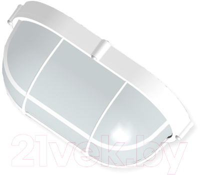 Светильник ЖКХ Элетех Банник 1202 НПП 03-100-018 IP65 / 1005501075