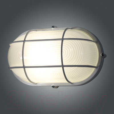 Светильник ЖКХ Элетех Банник 1202 НПП 03-100-018 IP65 / 1005501075