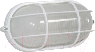 Светильник ЖКХ Элетех Банник 1402 НПП 03-60-022 IP65 / 1005501079 - фото