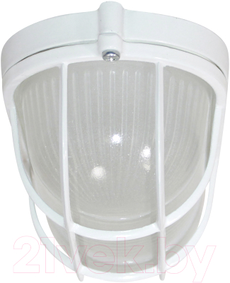 Светильник ЖКХ Элетех Банник 1402 НПП 03-60-022 IP65 / 1005501079