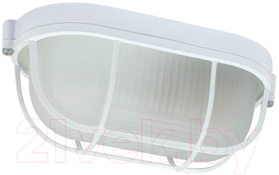 Светильник ЖКХ Элетех Банник 1402 НПП 03-60-022 IP65 / 1005501079