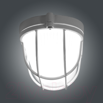 Светильник ЖКХ Элетех Банник 1402 НПП 03-60-022 IP65 / 1005501079