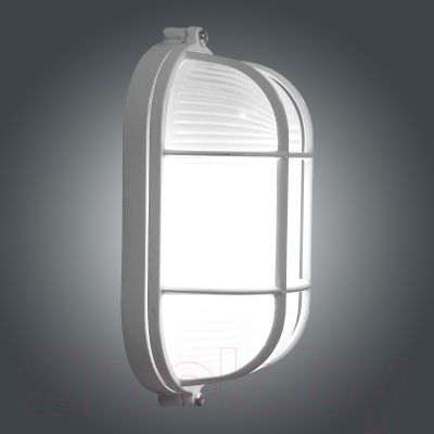 Светильник ЖКХ Элетех Банник 1402 НПП 03-60-022 IP65 / 1005501079