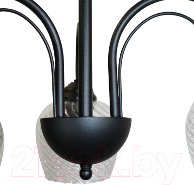 Люстра Элетех Берта 131 НСБ 01-3х60-158 Е27 / 1005404982 (черный муар)