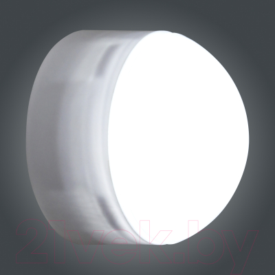 Светильник ЖКХ Элетех Блиц 03-007-401 / 1030480542