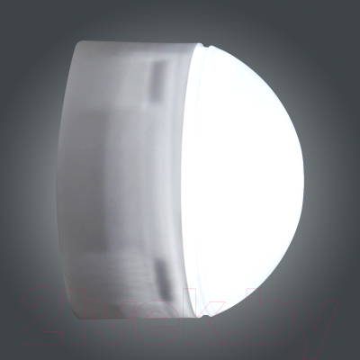 Светильник ЖКХ Элетех Блиц 03-007-401 / 1030480542