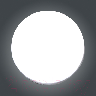 Светильник ЖКХ Элетех Блиц 03-007-401 / 1030480542