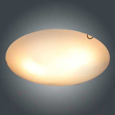 Потолочный светильник Элетех Бриз 400 НПБ 06-3х60 М65 / 1005206051