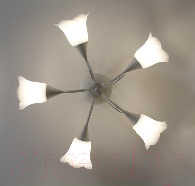 Люстра Элетех Веста 151 НПБ 01-5х60-119 Е27 / 1005404988 (белый)