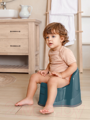 Детский горшок Amarobaby Ergonomic с крышкой / AB221103Er/18