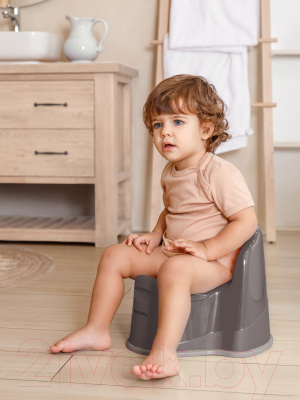 Детский горшок Amarobaby Ergonomic с крышкой / AB221103Er/11 (серый)