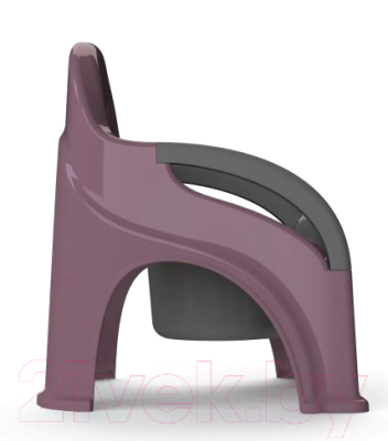 Детский горшок Amarobaby Baby chair / AB221105BCh/22 (фиолетовый)