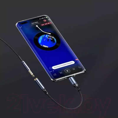 Кабель/переходник Remax RL-LA13a