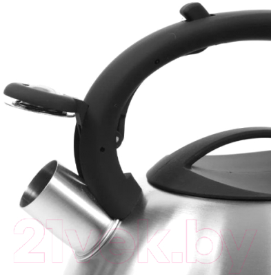 Чайник со свистком TimA WTK059