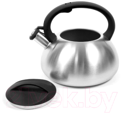 Чайник со свистком TimA WTK059