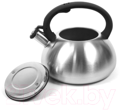 Чайник со свистком TimA WTK059