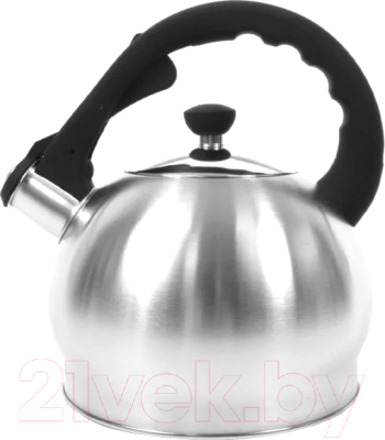 Чайник со свистком TimA WTK196 - фото