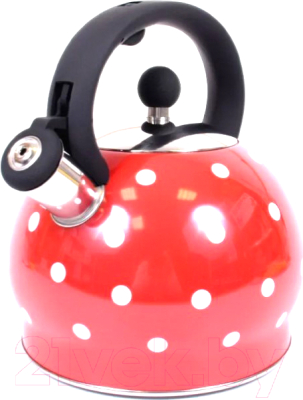 Чайник со свистком TimA WTK241C - фото