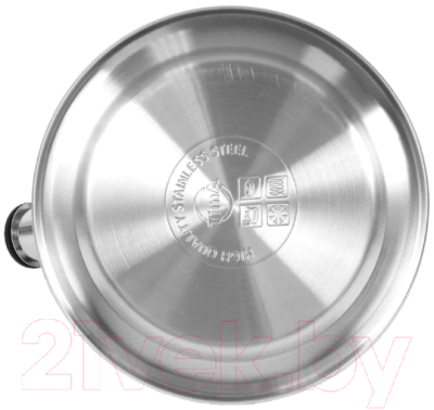 Чайник со свистком TimA WTK241C