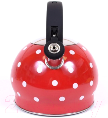 Чайник со свистком TimA WTK241C