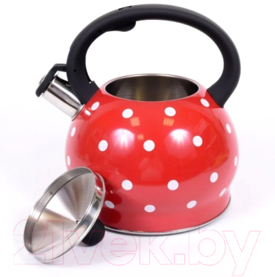 Чайник со свистком TimA WTK241C