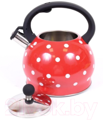 Чайник со свистком TimA WTK241C