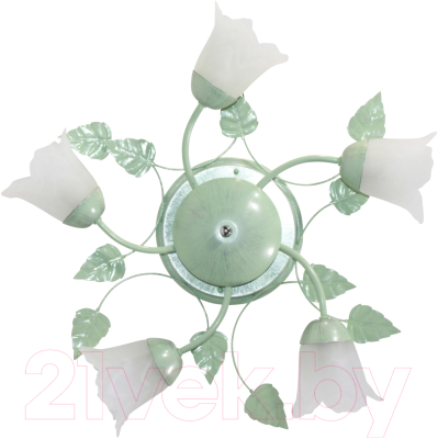Люстра Элетех Глория 151 НПБ 01-5х60-102 Е14 / 1005403199 (зеленый/серебристый)