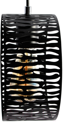 Потолочный светильник Элетех Дакар 211 НСБ 01-60-172 / 1005405056 (черный муар)