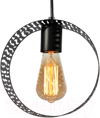 Потолочный светильник Элетех Дакар 211 НСБ 01-60-172 / 1005405056 (черный муар)