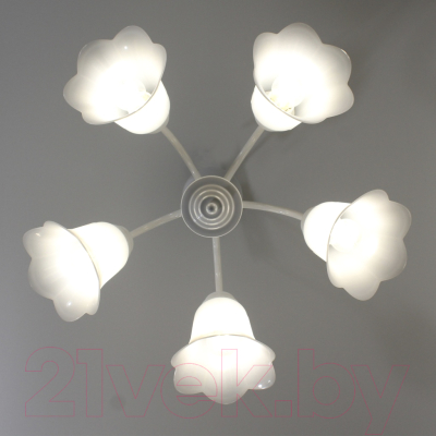 Люстра Элетех Джина 251 НСБ 01-5х60-130 Е27 / 1005404996 (белый)