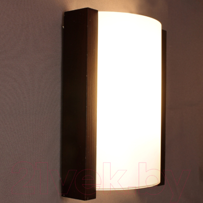 Светильник Элетех Карелия НББ 01-60-501 / 1005206007