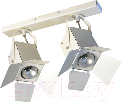 Спот Элетех Кино НПБ 01-2х60-515 / 1005404534 - фото