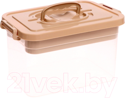 Контейнер для хранения Соломон С крышкой и вкладышем / 9354613 - фото