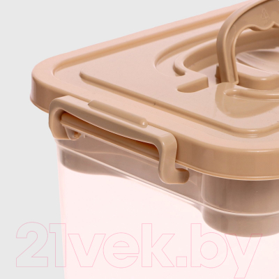 Контейнер для хранения Соломон С крышкой и вкладышем / 9354613