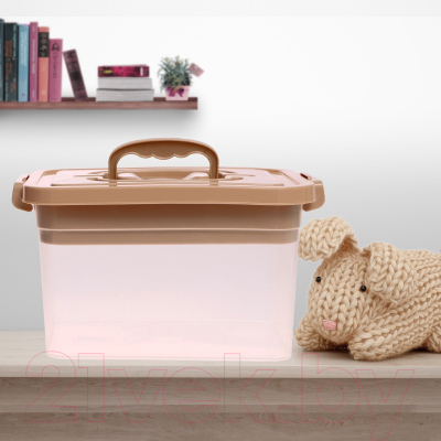 Контейнер для хранения Соломон С крышкой и вкладышем / 9354613