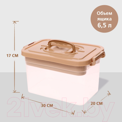 Контейнер для хранения Соломон С крышкой и вкладышем / 9354613
