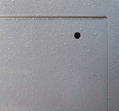 Офисный сейф SAFEtronics NTL 24Ms