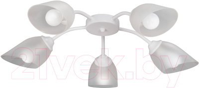 Люстра Vitaluce V3750-0/5PL - фото