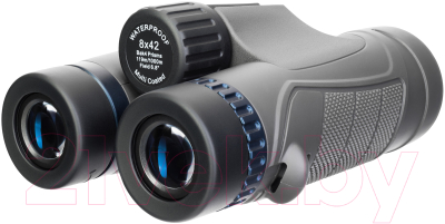 Бинокль Levenhuk Nitro 8x42 / 81938