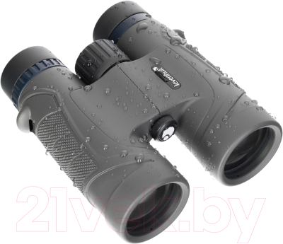 Бинокль Levenhuk Nitro 12x42 / 81940