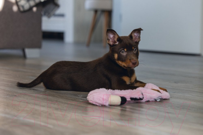 Игрушка для собак Beeztees Фламинго / 619462